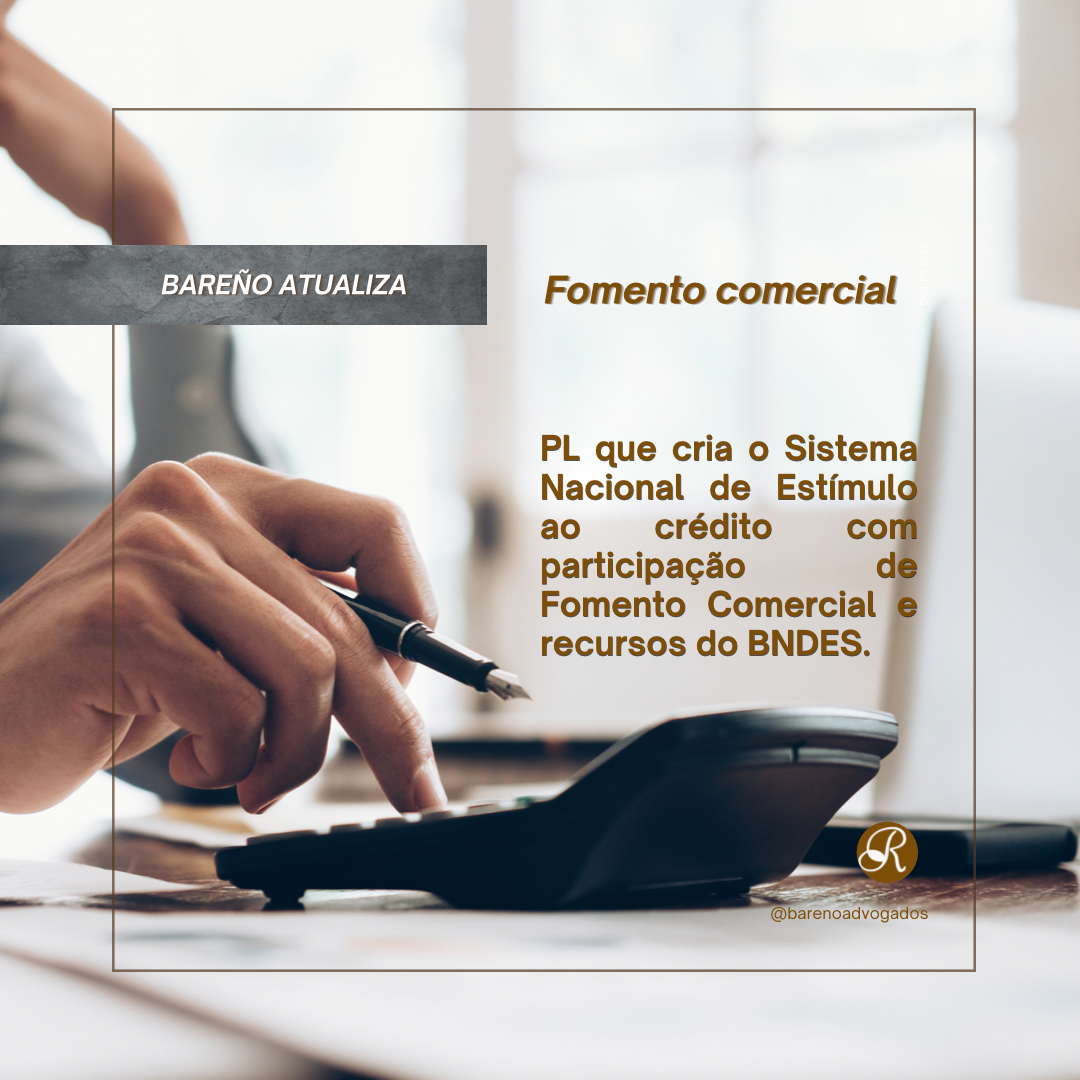 PL QUE CRIA O SISTEMA NACIONAL DE ESTÍMULO AO CRÉDITO COM PARTICIPAÇÃO DE FOMENTO COMERCIAL E RECURSOS DO BNDES