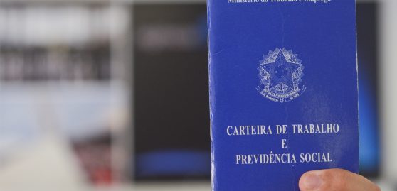 SEGURO DESEMPREGO DURANTE A PANDEMIA