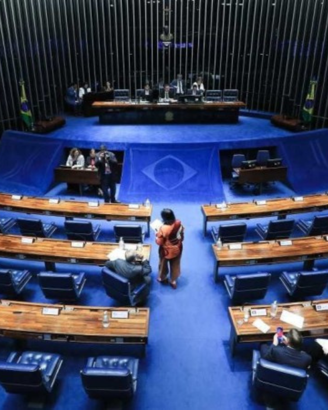 GOVERNO SANCIONA COM 4 VETOS LEI QUE TRAZ DE VOLTA O VOTO DE QUALIDADE DO CARF 