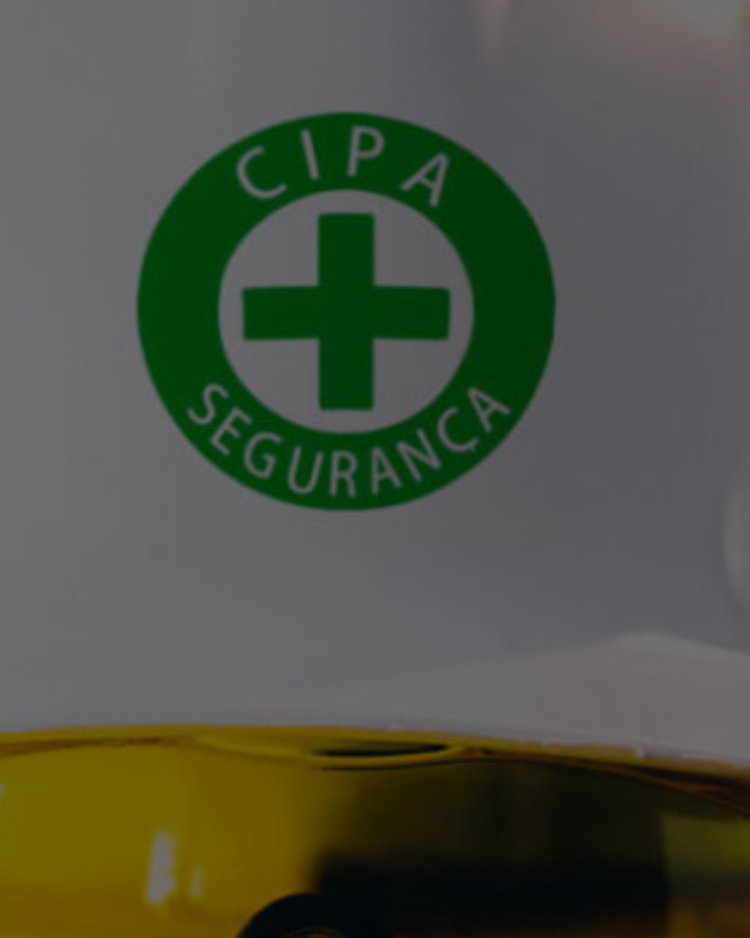 PEDIDO DE DEMISSÃO DE MEMBRO DA CIPA PARA ASSUMIR NOVO EMPREGO E VÁLIDO, DECIDE  1ª TURMA DO TRT-RS